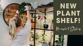 New Plant Shelf!! | Ikea Vittsjo Set Up and Houseplant Styling