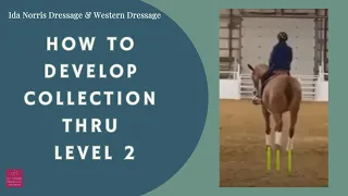 How to Develop Collection Thru Level Two / Western Dressage