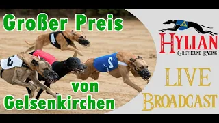 Hylian Greyhound Racing Live - Gelsenkirchen Grand Prix 2024