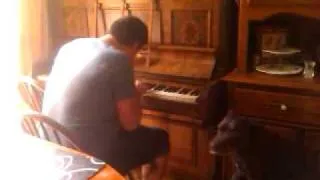 My Dog Hates Piano!!!