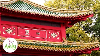 Beautiful Chinese Scenery Video & Instrumental Music 2 Hours RELAXING MUSIC HD 1080P Screensaver