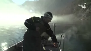 Geheimnisvolle Fische im Königssee - Tiefseesaibling (Schwarzreiter)