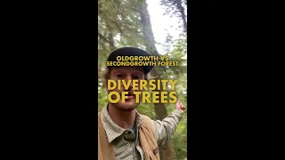 Oldgrowth vs Secondgrowth: Diversity of Trees