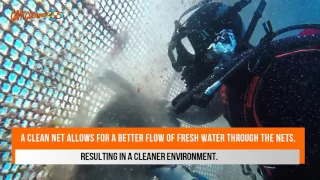 Cavit Net Cleaner - Fish Farm Cleaning