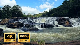Relaxing River - Fast Flowing Water Sounds | Walawe River in Sri Lanka