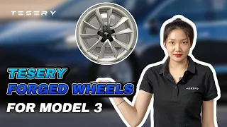 Tesla Model 3 - Forged Wheels form Tesery.com