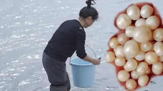 Wild pearl oysters are filled with large white pearls, which are crystal clear