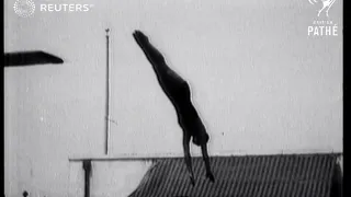Olympic diving champion (1925)