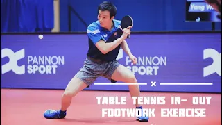Table Tennis Short Pimple (Victas Spectol S1) Defence in-out Footwork exercise