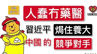 「人蠢冇藥醫」！習近平「焗住養大」中國的「競爭對手」..