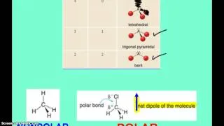 Introduction to the VSEPR Theory