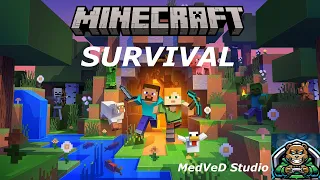 Minecraft Survival. #11 (No commentary)