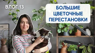 НОВЫЙ СТЕЛЛАЖ для растений / Весенние цветочные ПЕРЕСТАНОВКИ