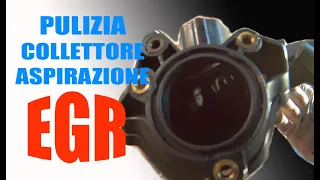 GRANDE PUNTO PULIZIA DETTAGLIATA VALVOLA EGR 1,3 MULTIJET 75 CV (parte 2)