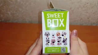 Распаковка коробочек SWEET BOX доггивуд Пушистики "Клякса"