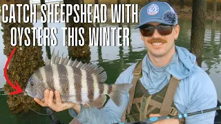 The Next Best Bait For Sheepshead | How To Use Oysters To Catch Sheepshead
