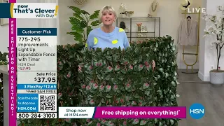 HSN | Now That's Clever! with Guy - Under $50 05.20.2023 - 08 AM