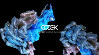 Nakadia - Learning to Fly (Original Mix) // CODEX