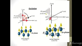 MRI Physics  Part 11 T1 ,T2 and PD اساسيات فيزياء  الرنين المغناظيسي بالعربي