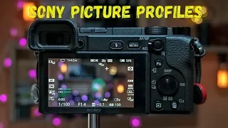 Ищем лучший Picture Profile в камерах Sony для тебя/ PPoff vs Cine vs SLog vs Custom