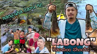 LABONG (BAMBOO SHOOTS) | Madami kaming nakuha sa Bukid | #BuhayProbinsya | #JosephBantula