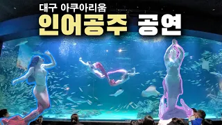 대구 신세계백화점 아쿠아리움 인어공연 풀영상 DAEGU AQUARIUM MERMAID