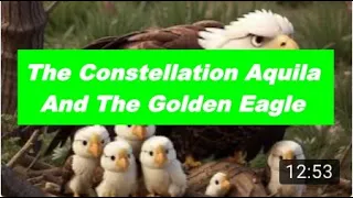 The Constellation Aquila Genus And The Golden Eagles - The Majestic Sky Hunters #goldeneagles #groom