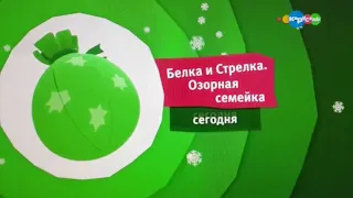 Телеканал Карусель Белка и Стрелка. Озорная семейка зима 2017-2018