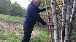 DIY Climbing Sticks - Rebar