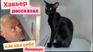 Я и подумать не мог, что они сделают это 🐈‍⬛