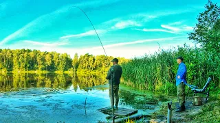 Фидерная Рыбалка с Ночевкой на Гродненском ВДХ в Жару! Поймали Сома, Леща, Густеру! Длинное видео.