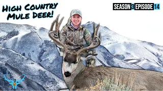 Sky High Muleys - A High Country Deer Hunt in Nevada