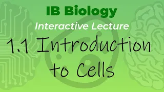 IB Biology 1.1 - Introduction to Cells - Interactive Lecture