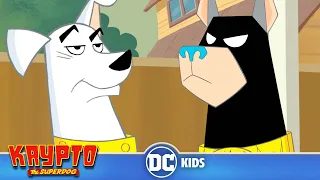 Krypto The Superdog | Bat-Hound's Bad Luck! | @dckids