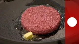 First lab-grown burger tried and tested in London