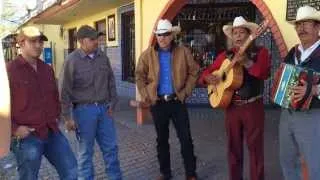 Corrido de "Los Guallineros" por Los Dos Halcones