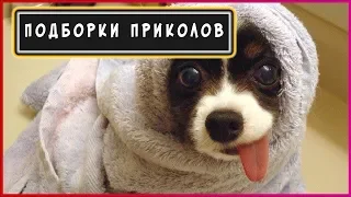 11 МИНУТ СМЕХА | ПОПРОБУЙ НЕ ЗАСМЕЯТЬСЯ 2018