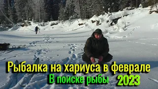 Рыбалка на Хариуса в феврале. В поиске рыбы по таёжным рекам. Рыбалка в Коми.