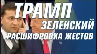 Встреча Зеленского и Трампа. Расшифровка жестов и эмоций.