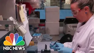 Watch Full Coronavirus Coverage - April 29 | NBC News Now (Live Stream)