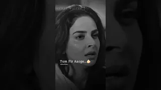 Tum Fir Aaoge 💔| Zehri Writes 2 Status | WhtsApp Status | 🥀 #ytshorts #sad #shorts