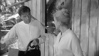 𝘿𝙚𝙗𝙤𝙧𝙖𝙝 𝙆𝙚𝙧𝙧 - The Night of the Iguana (1964): A Lady...