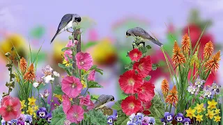 🌼🐦Flowers and birds ... (painting) 🎨