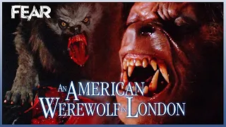 Death Count | An American Werewolf In London (1981) | Fear