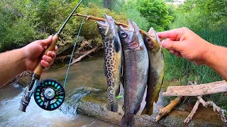 3 TROUT SPECIES CATCH & COOK!! (Brown, Rainbow, Tiger)