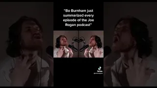 Bo Burnham summarises every episode of the Joe Rogan podcast