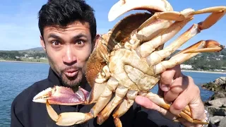 Catch and Cook: DELICIOUS Dungeness Crab on the Rocks!!