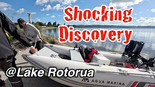 Lake Rotorua Fishing: Essential Tips and Tricks