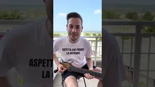 Figli delle stelle - Alan Sorrenti (Guitar Cover) 🎸 #alansorrenti #figlidellestelle #guitarcover