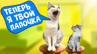 Один день с котенком из прошлого выпуска / SANI vlog